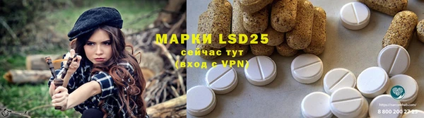 эйфоретик Покачи